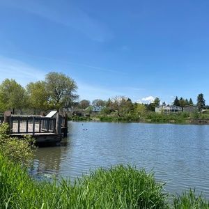 Meet your Posher, Carol